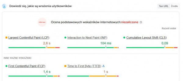 Fragment raportu z Google PageSpeed Insights z błędami, które mogą zwiększać bounce rate.