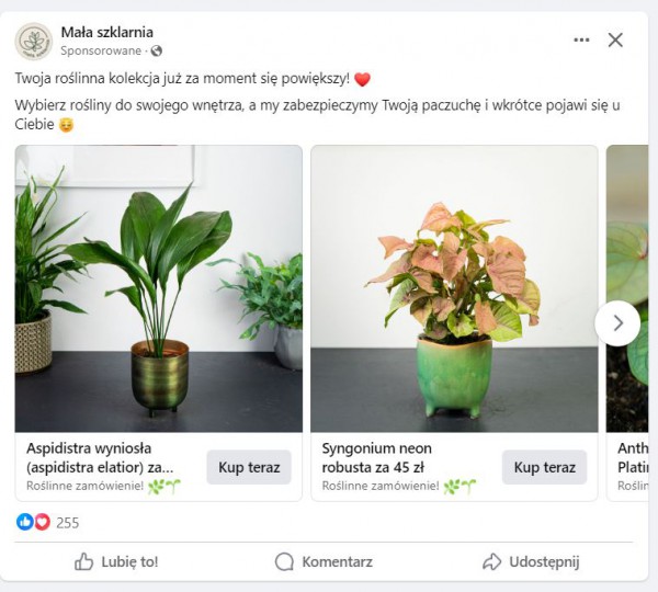 Katalog produktów w reklamie na Facebooku